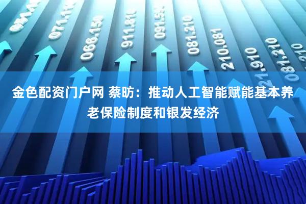 金色配资门户网 蔡昉：推动人工智能赋能基本养老保险制度和银发经济