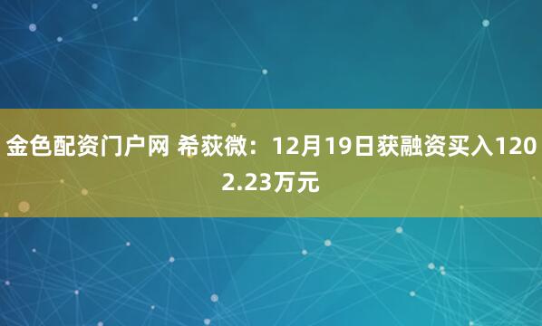 金色配资门户网 希荻微：12月19日获融资买入1202.23万元