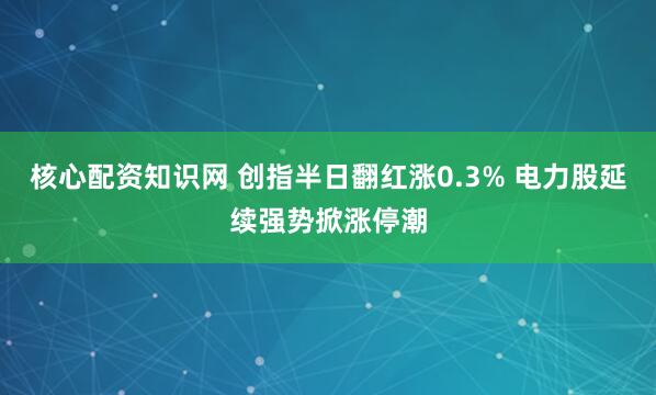 核心配资知识网 创指半日翻红涨0.3% 电力股延续强势掀涨停潮